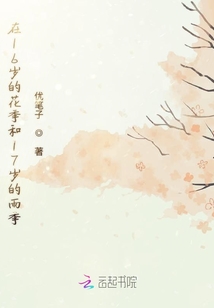 在16歲的花季和17歲的雨季