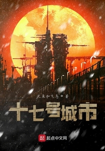 十七號城市