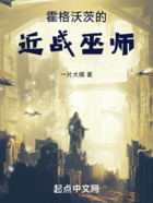 霍格沃茨的近战巫师在线阅读