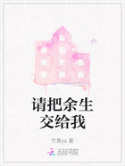 请把余生交给我在线阅读