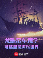 龙珠吊车尾?可这里是海贼世界!在线阅读