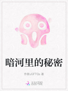 暗河里的秘密在线阅读