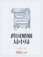 跨国婚姻局中局在线阅读