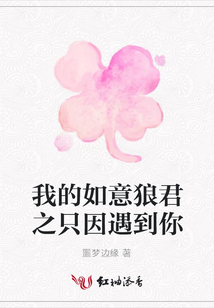 我的如意狼君之只因遇到你