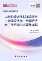 2020年山东财经大学801经济学（微观经济学、宏观经济学）考研模拟试题及详解在线阅读