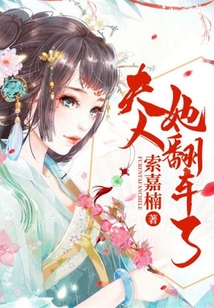 夫人她翻車了
