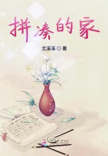 拼湊的家