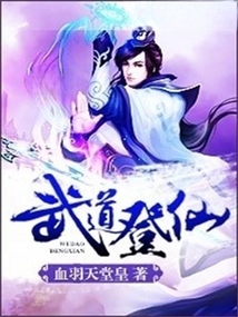 武道登仙 cover