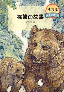 沈石溪激情动物小说·棕熊的故事