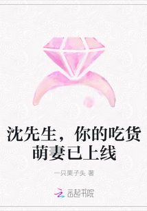 沈先生，你的吃貨萌妻已上線