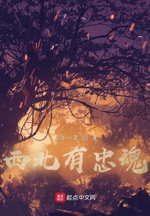 西北有忠魂