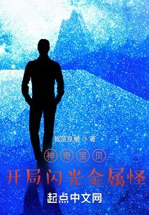 神奇寶貝，開局閃光金屬怪
