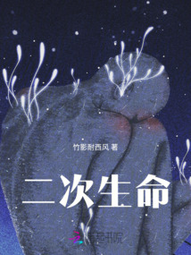 二次生命