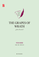 愤怒的葡萄（The Grapes of Wrath）