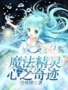魔法精灵之心之奇迹在线阅读