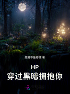 HP：穿过黑暗拥抱你在线阅读