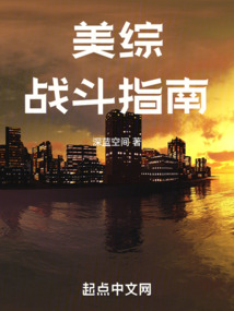 美綜戰斗指南