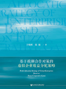 基于模糊合作對策的虛擬企業收益分配策略