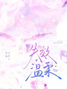 失效温柔在线阅读