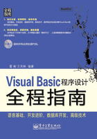 Visual Basic程序设计全程指南