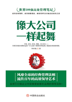 世界500强高效管理笔记：像大公司一样起舞在线阅读