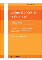 大众创业万众创新实践与探索：以青海为例在线阅读