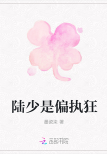 陸少是偏執狂