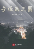 子桓的三國在線閱讀