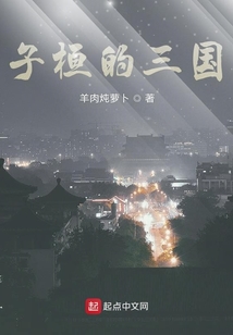子桓的三國