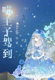 喵主子駕到