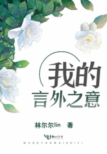 我的言外之意