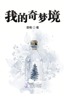 我的奇夢境