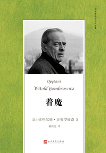 著魔（貢布羅維奇小說全集）