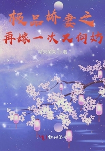 極品嬌妻之再嫁一次又何妨