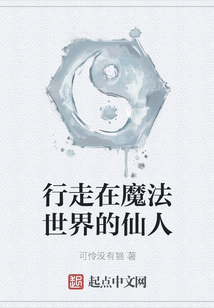 行走在魔法世界的仙人