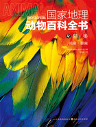 鸟类:鸣禽·攀禽(国家地理动物百科全书)在线阅读