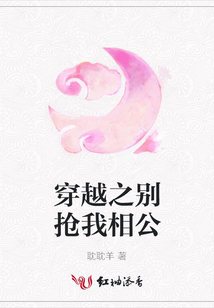 穿越之別搶我相公