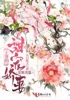 涅槃凤凰,王爷的甜宠娇妻在线阅读