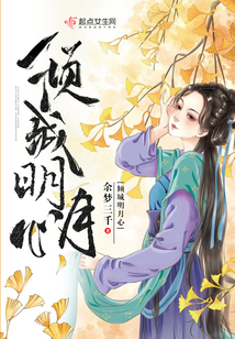 傾城明月心