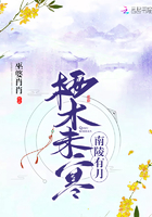 南陵有月棲木未寒在線閱讀