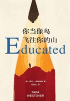你当像鸟飞往你的山
