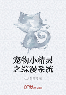 宠物小精灵之综漫系统