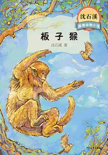 沈石溪激情動物小說·板子猴