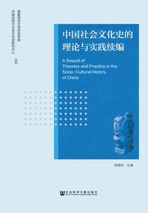 中國(guó)社會(huì)文化史的理論與實(shí)踐續(xù)編