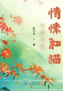 不知名的情愫和貓