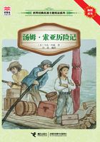 汤姆·索亚历险记