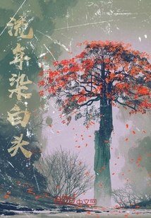 流年染白头