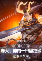 海贼:我,赤犬,体内一只固拉多