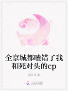 全京城都嗑错了我和死对头的cp在线阅读