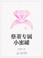 蔡董专属小蜜罐在线阅读